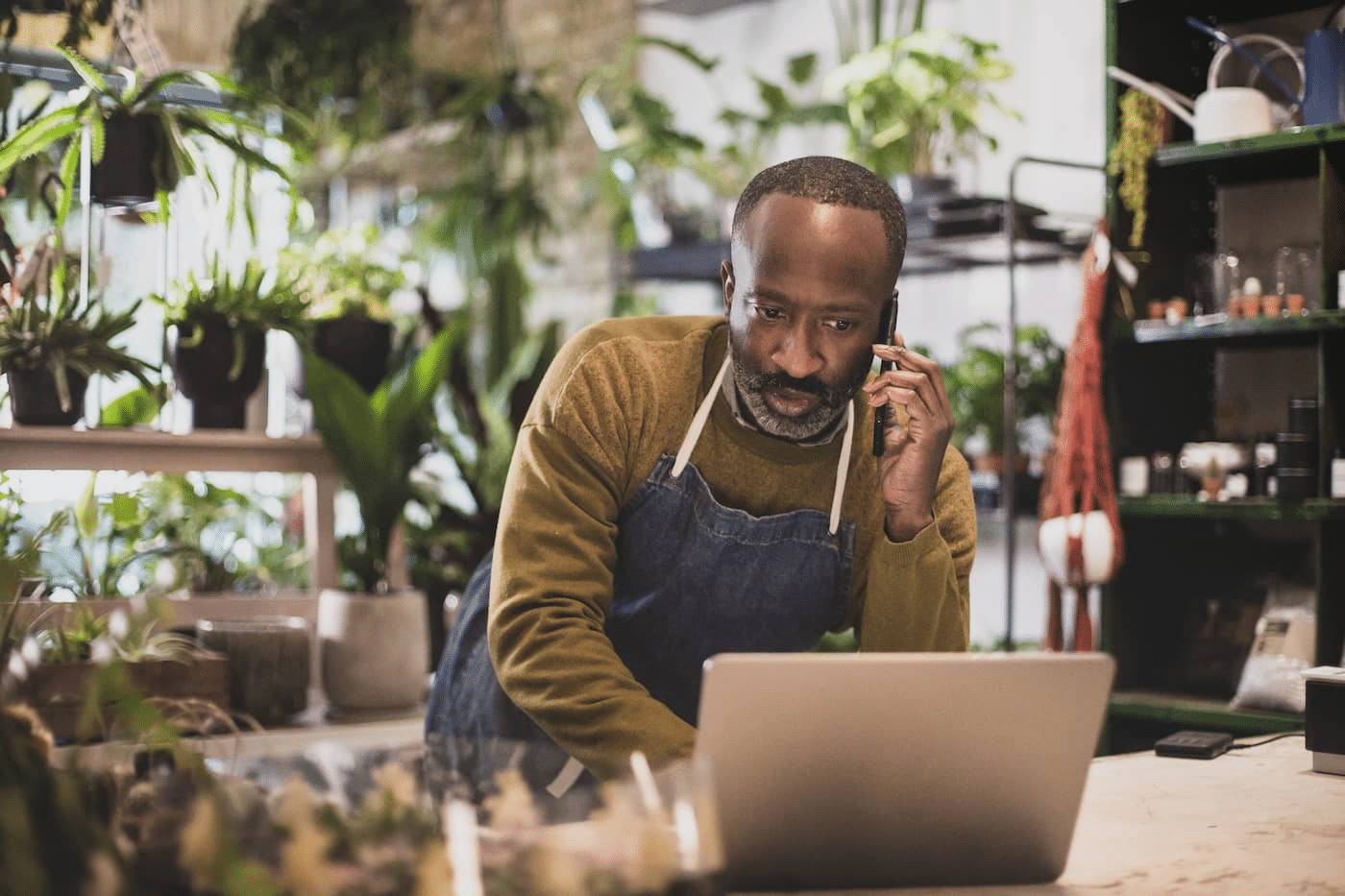 Small Businesses and Startups
